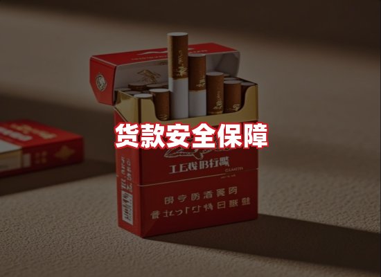 专业团队